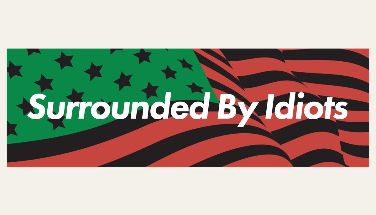 Surrounded By Idiots Flag Tee